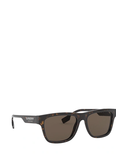 Shop Burberry Be4293 Dark Havana Ma In .