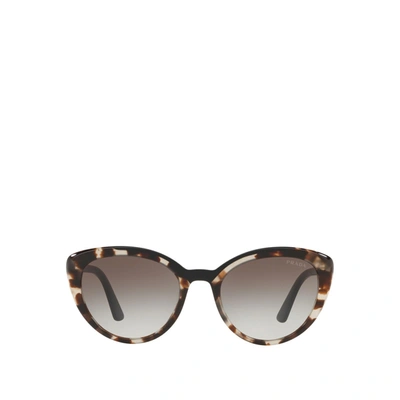 Shop Prada Pr 02vsf Opal Spotted Br In .