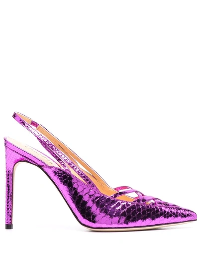 Shop Giannico Pointed 110mm Heeled Pumps In Purple