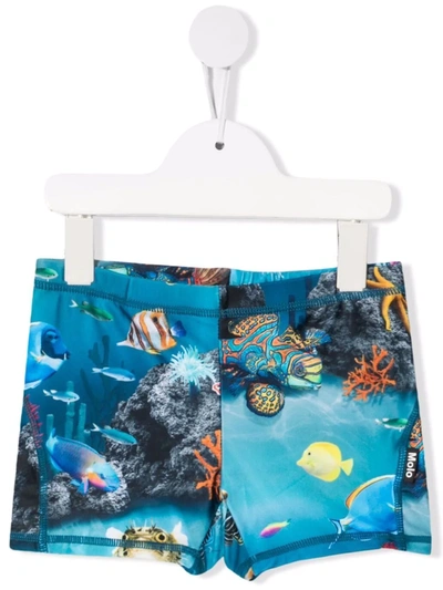 Shop Molo Graphic Print Swim Shorts In Blue