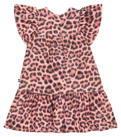 Molo Baby Carolle Leopard-print Cotton-blend Dress In Rose Jaguar