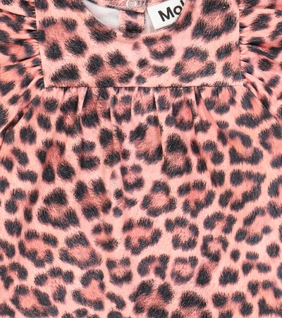Shop Molo Baby Carolle Leopard-print Cotton-blend Dress In Rose Jaguar