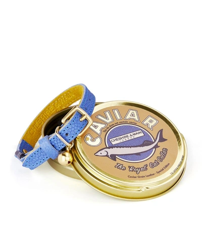Shop Cheshire & Wain Caviar Cat Collar (small-medium) In Blue
