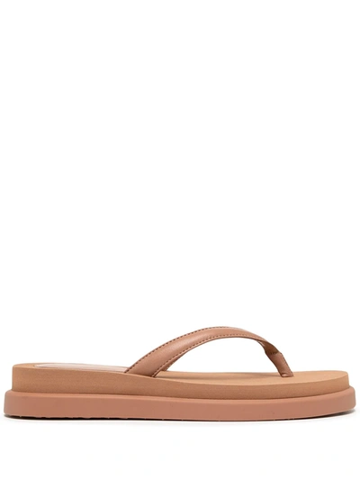 Shop Gianvito Rossi Thong Flatform Sandals In Pink