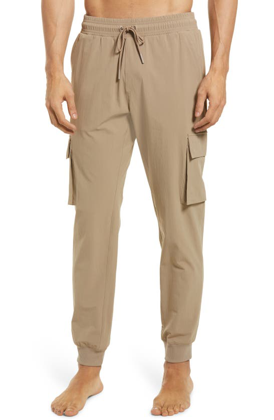 Alo Jogger Pants