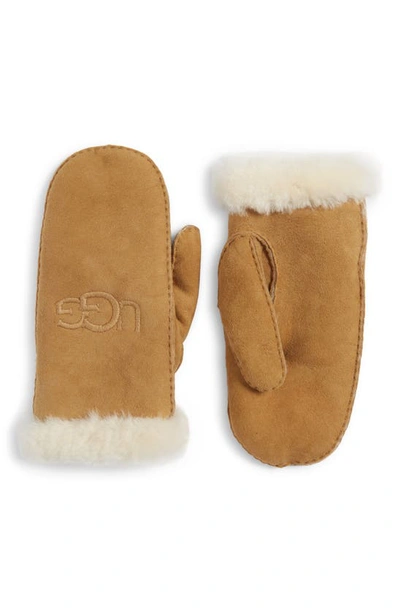 Shop Ugg Genuine Shearling Lined Mittens In Chestnut