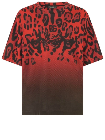 Shop Dolce & Gabbana Leopard Print T-shirt In Rosso/nero
