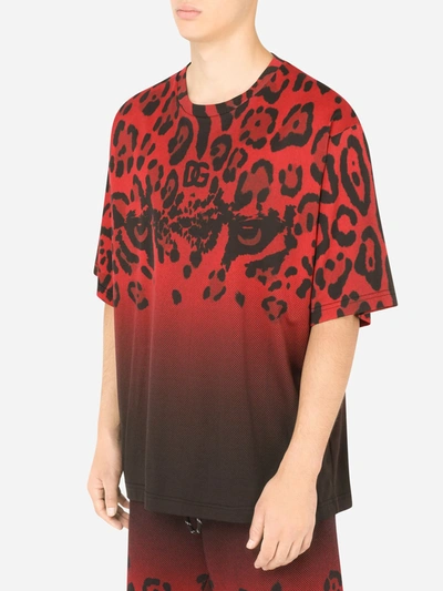 Shop Dolce & Gabbana Leopard Print T-shirt In Rosso/nero