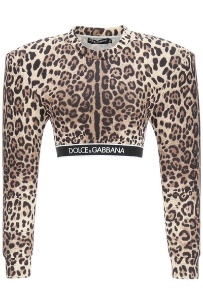 Shop Dolce & Gabbana Cropped Top With Oversized Shoulders In Leo (brown)
