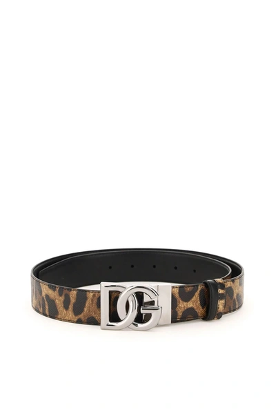 Shop Dolce & Gabbana Logo Buckle Reversible Belt In Leo (brown)
