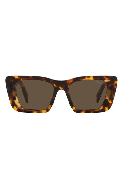 Shop Prada 51mm Butterfly Sunglasses In Havana Honey/ Dark Brown
