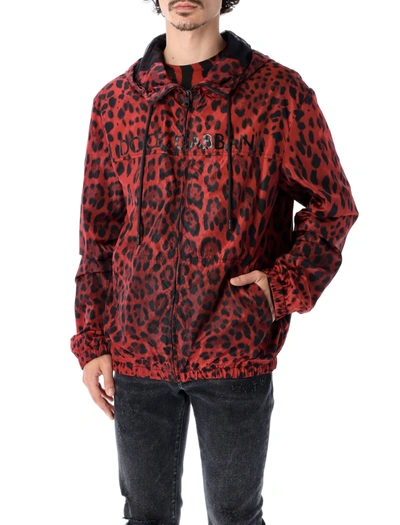 Shop Dolce & Gabbana Leopard Printed Hooded Jacket In Red