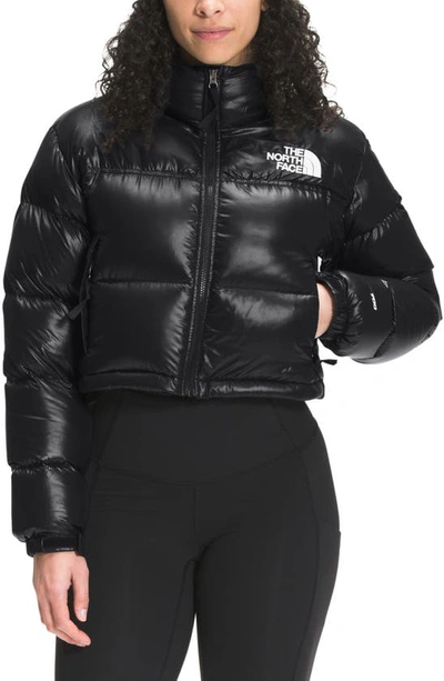 The North Face Logo-print Cropped Feather-down Puffer Jacket In Black |  ModeSens
