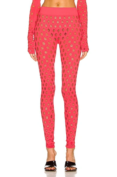 Shop Maisie Wilen Perforated Legging In Coral