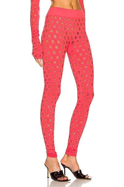 Shop Maisie Wilen Perforated Legging In Coral