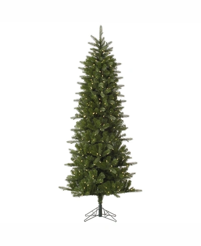 Shop Vickerman 4.5 Ft Carolina Pencil Spruce Artificial Christmas Tree With 200 Warm White Led Lights