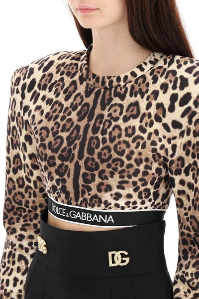 Shop Dolce & Gabbana Cropped Top With Oversized Shoulders In Brown,black