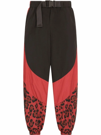 Shop Dolce & Gabbana Panelled Leopard-print Trousers In Black