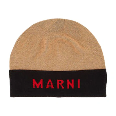 Shop Marni Logo Beanie In Hazelnut