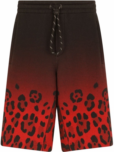 Shop Dolce & Gabbana Gradient Leopard-print Track Shorts In Red