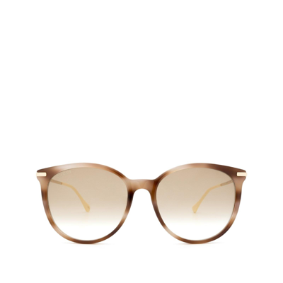 Shop Gucci Gg0885sa Havana Female Sunglasses