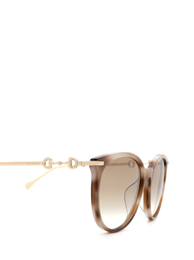 Shop Gucci Gg0885sa Havana Female Sunglasses