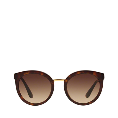 Shop Dolce & Gabbana Dg4268 Havana