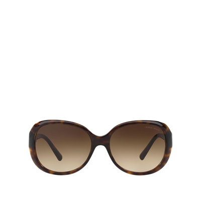 Shop Giorgio Armani Ar8047 Havana Female Sunglasses