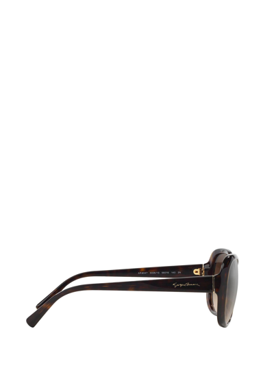 Shop Giorgio Armani Ar8047 Havana Female Sunglasses