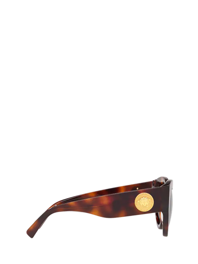 Shop Versace Ve4353 Havana Female Sunglasses