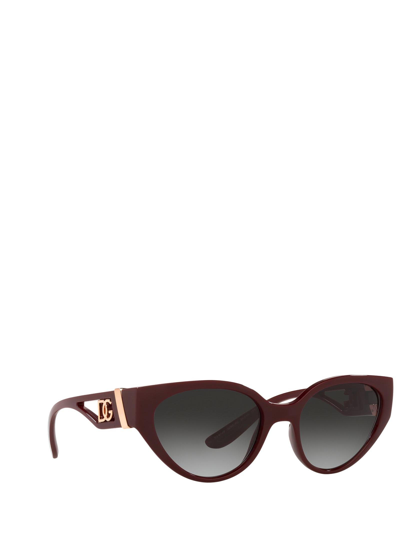 Shop Dolce & Gabbana Dg6146 Transparent Bordeaux Female Sunglasses