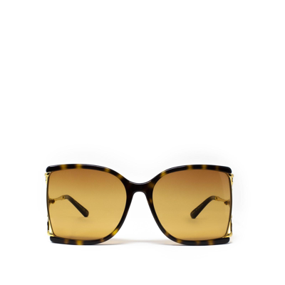 Gucci Gg0592s Havana Female Sunglasses - Atterley In Brown | ModeSens