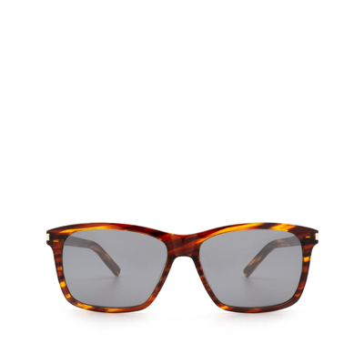 Shop Saint Laurent Sl 339 Havana Male Sunglasses