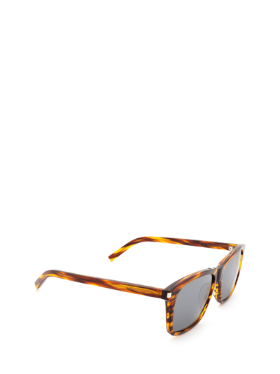Shop Saint Laurent Sl 339 Havana Male Sunglasses