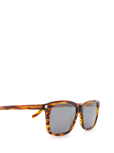 Shop Saint Laurent Sl 339 Havana Male Sunglasses