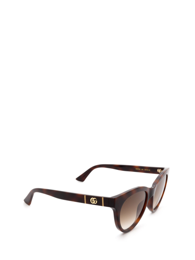 Shop Gucci Gg0763s Havana Female Sunglasses