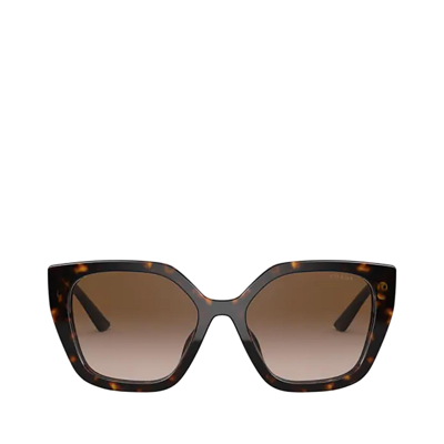 Shop Prada Pr 24xs Havana Female Sunglasses