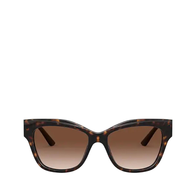 Shop Prada Pr 23xs Havana Female Su