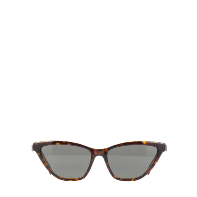 Shop Saint Laurent Sl 333 Dark Hava In Pattern