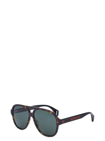 Gucci Gg0463s Dark Havana Male Sunglasses | ModeSens