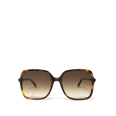 Shop Gucci Gg0544s Havana Female Sunglasses