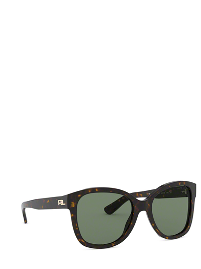 Shop Ralph Lauren Rl8180 Shiny Dark Havana Female Sunglasses