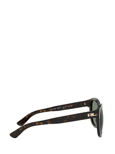 Shop Ralph Lauren Rl8180 Shiny Dark Havana Female Sunglasses
