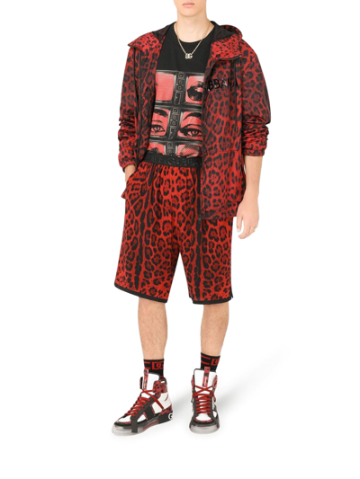 Shop Dolce & Gabbana Leopard-print Hooded Jacket In Multicolour
