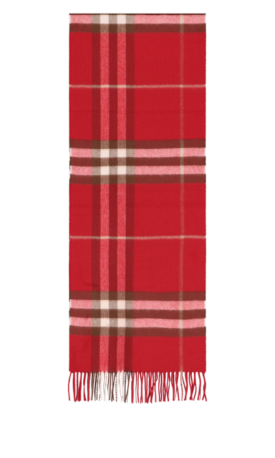 Shop Burberry Cashmere Scarf Tartan Pattern In Red