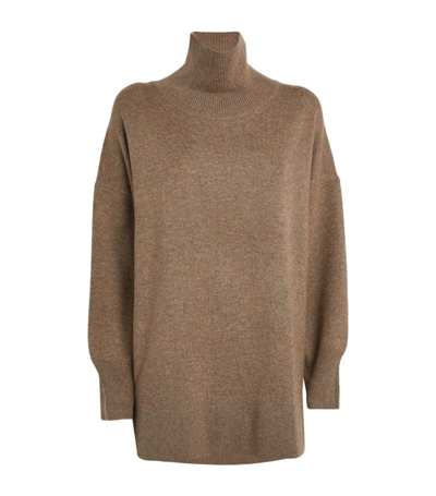 Shop Paris Georgia Merino Wool-cashmere Rollneck Sweater In Brown