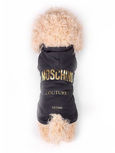 Shop Moschino Cotton Logo Dog Hoodie In Black