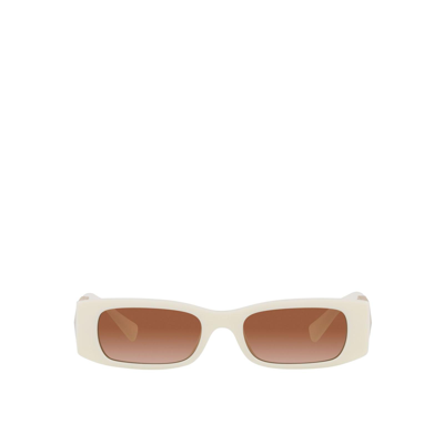 Shop Valentino Va4105 Ivory Female