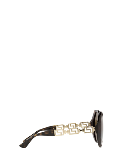 Shop Versace Ve4395 Havana Female S