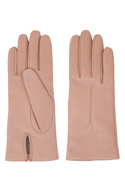 Shop Nicoletta Rosi Cashmere Lined Lambskin Leather Gloves In Pink